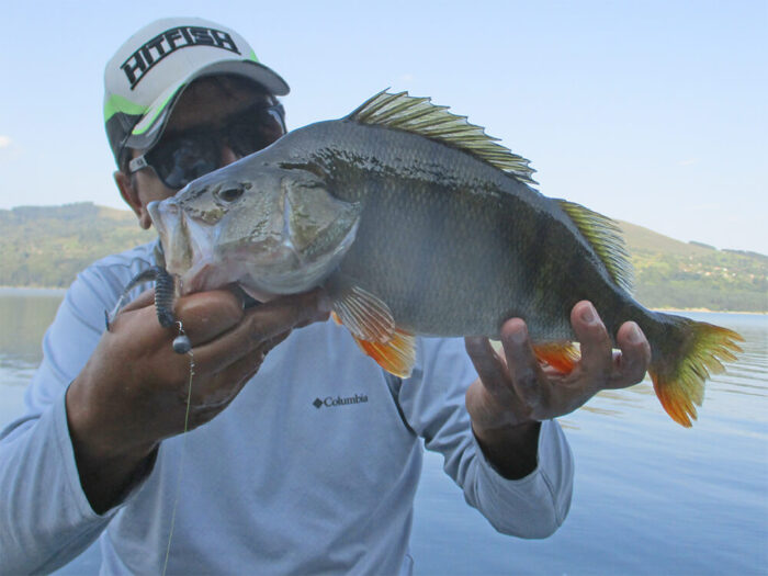 Hitfish Tukashine 8.9CM (3.5 inch), culoare R123 (7buc/plic) - imagine 27