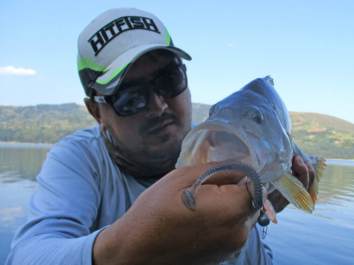 Hitfish Tukashine 8.9CM (3.5 inch), culoare R123 (7buc/plic) - imagine 26