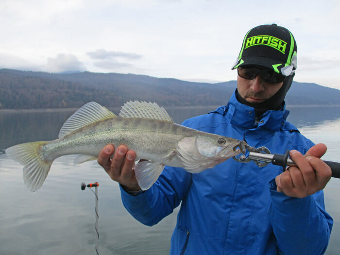 Hitfish Tukashine 8.9CM (3.5 inch), culoare R123 (7buc/plic) - imagine 23