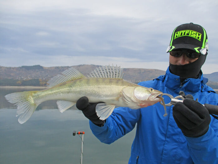 Hitfish Tukashine 8.9CM (3.5 inch), culoare R123 (7buc/plic) - imagine 20