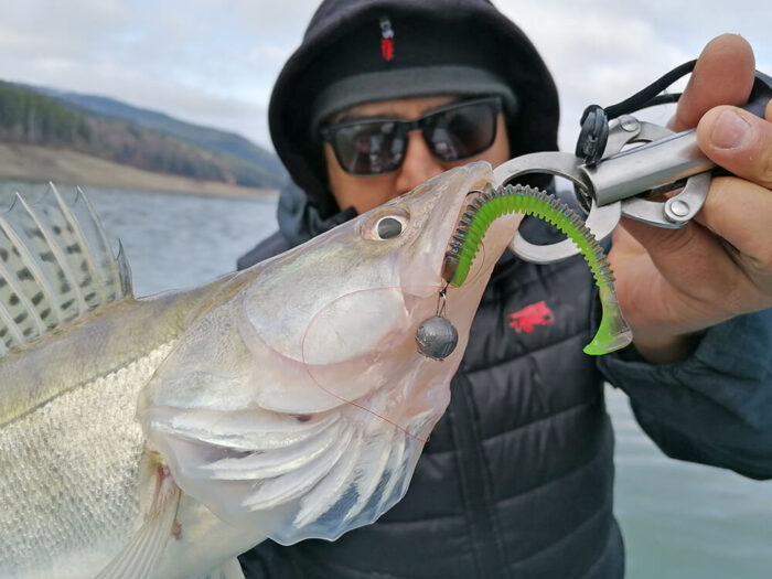 Hitfish Tukashine 8.9CM (3.5 inch), culoare R123 (7buc/plic) - imagine 17