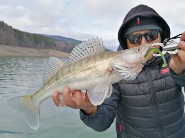 Hitfish Tukashine 8.9CM (3.5 inch), culoare R123 (7buc/plic) - imagine 16