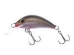 Gloog Hektor 35N, 3.5cm, 2gr (Floating), GR (Gold Roach)