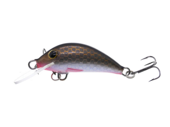 Gloog Hektor 35N, 3.5cm, 2gr (Floating), GR (Gold Roach) - imagine 2