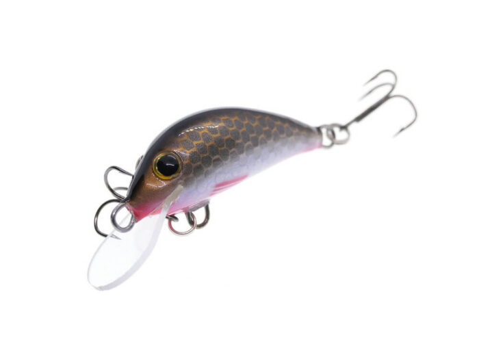 Gloog Hektor 35N, 3.5cm, 2gr (Floating), GR (Gold Roach) - imagine 3